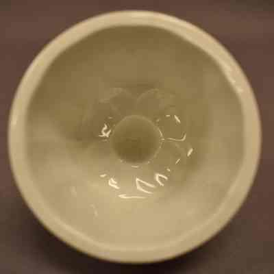 Food Mold
