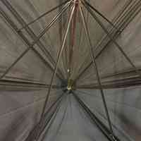 Umbrella - Image 6