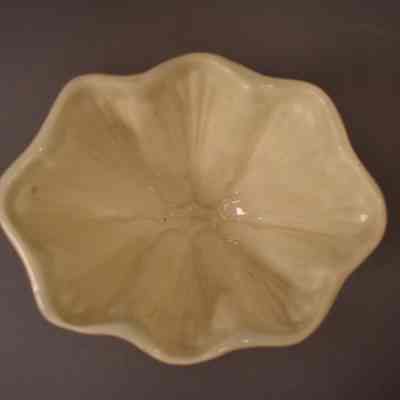 Food Mold