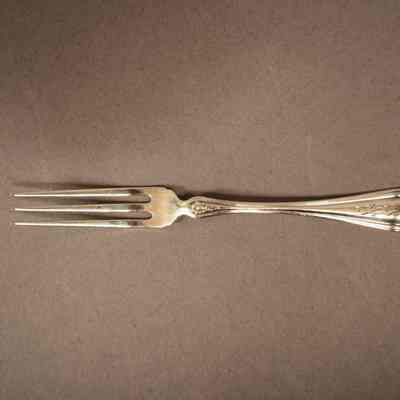 Strawberry Fork
