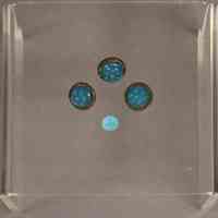 Button - Image 3