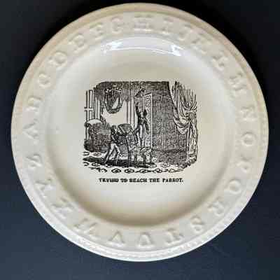Saucer
