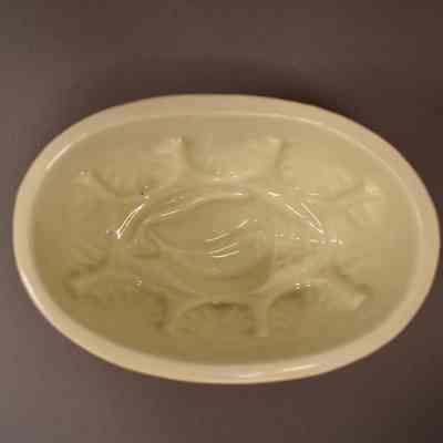 Food Mold