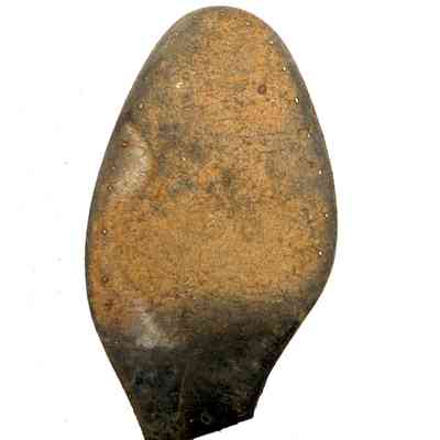 Shoe Sole
