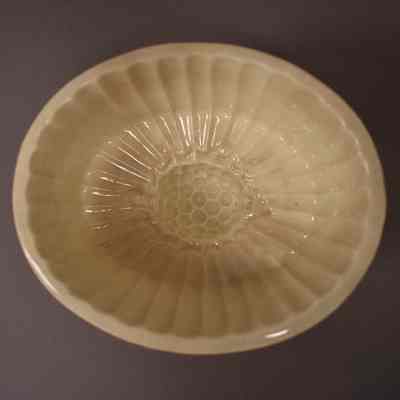 Food Mold