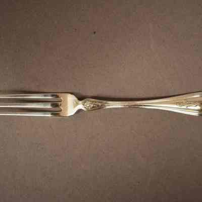 Strawberry Fork