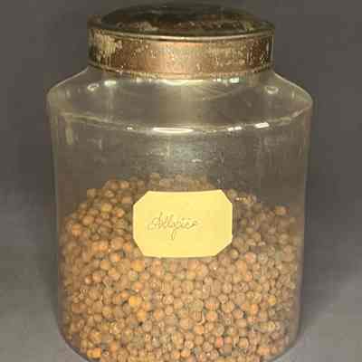 Canister