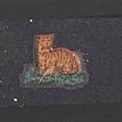 Transparency, Lantern Slide