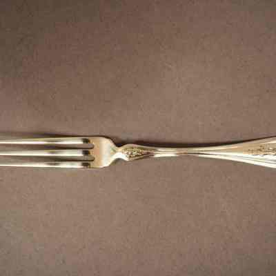 Strawberry Fork