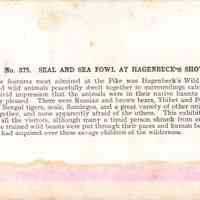 Stereograph - Image 2