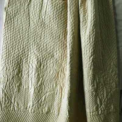 Petticoat