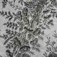 Shawl - Image 4