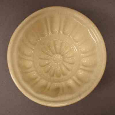 Food Mold