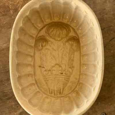 Food Mold