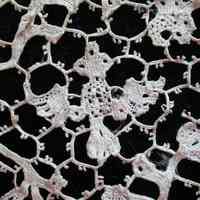 Notion, Lace - Image 2
