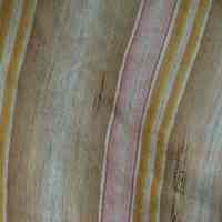 Dress and Capelet - Image 3
