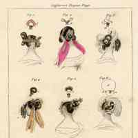 Back Views of 6 Coiffures with 12 Details