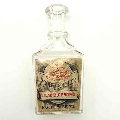 Perfume Bottle
