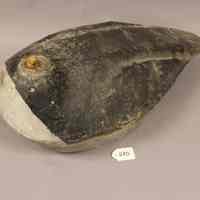 Decoy - Image 3