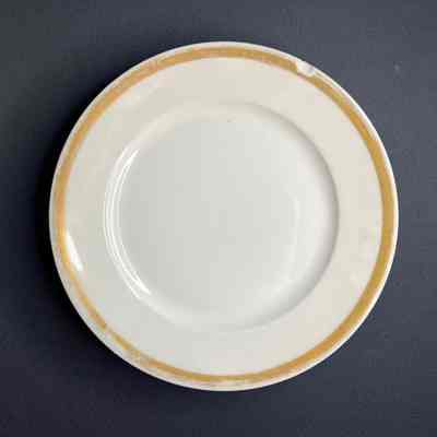 Dinner Plate
