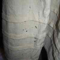 Petticoat - Image 2