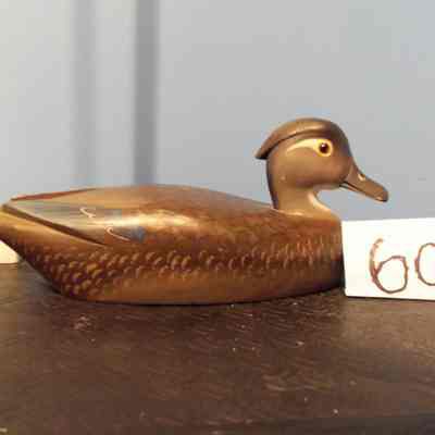 Wood Duck Hen