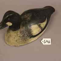 Goldeneye Drake - Image 3