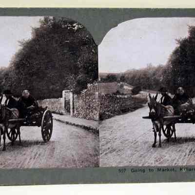597 Going to Market, Killarney, Ireland.