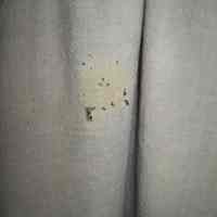 Petticoat - Image 3