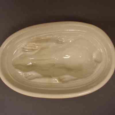 Food Mold