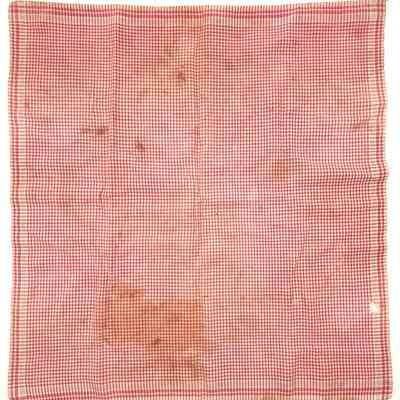 Napkin