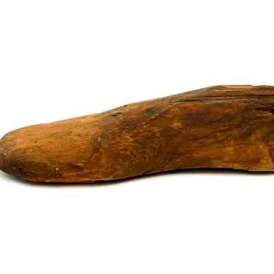Shoe Last