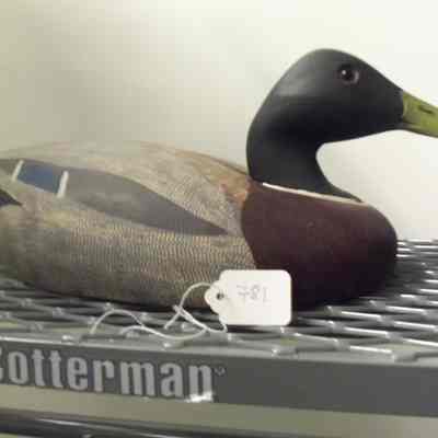 Mallard Decoy