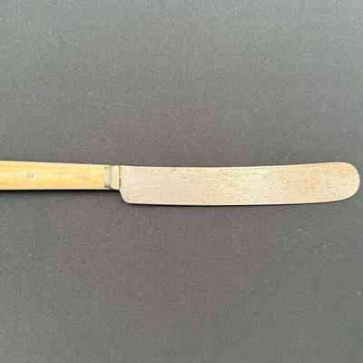 Dinner Knife