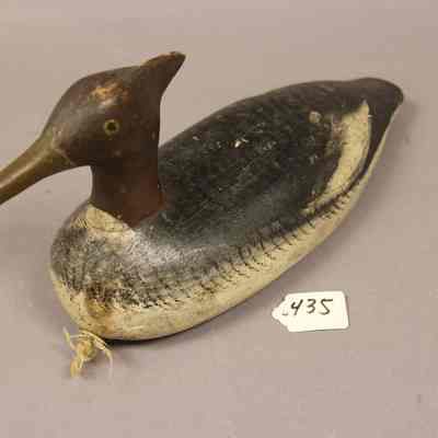 Merganser