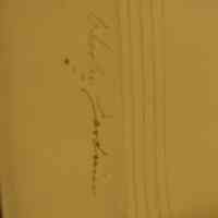 Pillowcase - Image 5