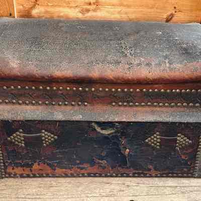 Trunk