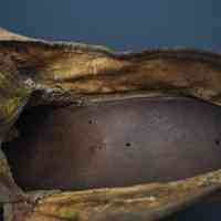Shoes - Image 9