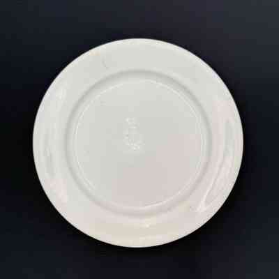 Dinner Plate