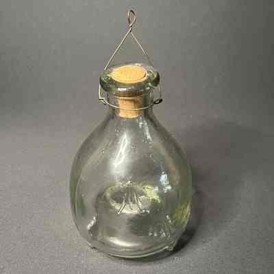 Fly Catcher