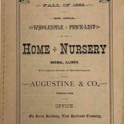 Augustine & Co. Home and Nursery Catalog, 1882