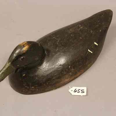 Hollow lowhead Black Duck