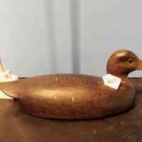 Black Duck - Image 2