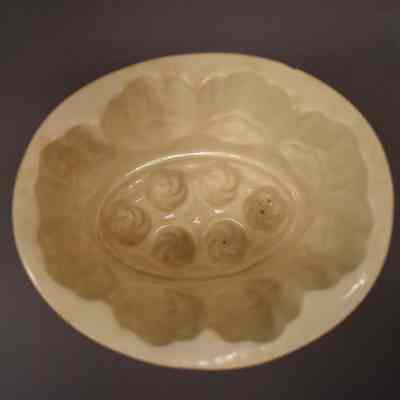 Food Mold