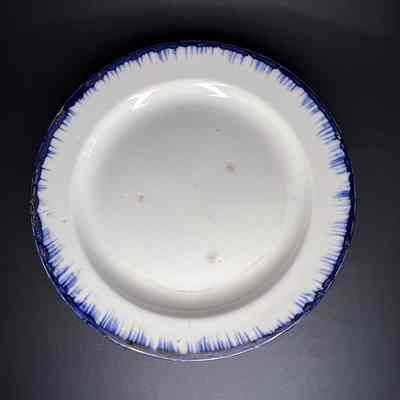 Dinner Plate