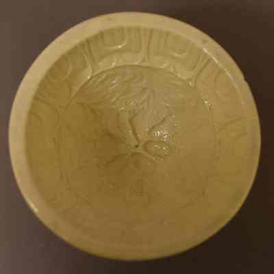 Food Mold