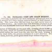 Stereograph - Image 2