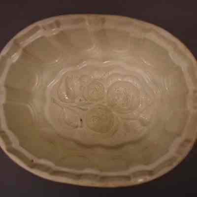 Food Mold