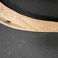 Horseshoe - Image 2