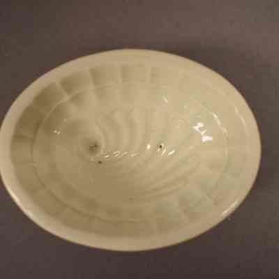 Food Mold